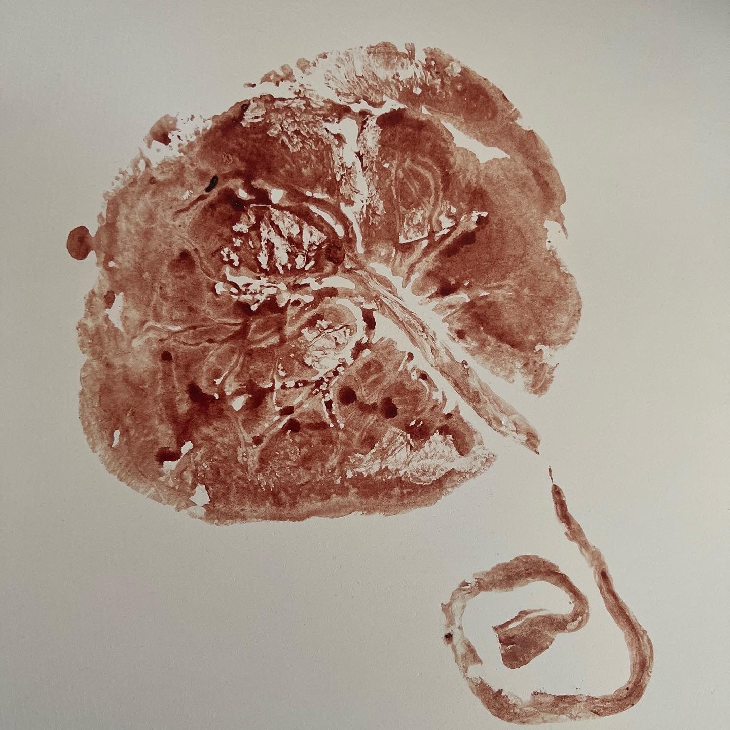 Birth & Postnatal Package